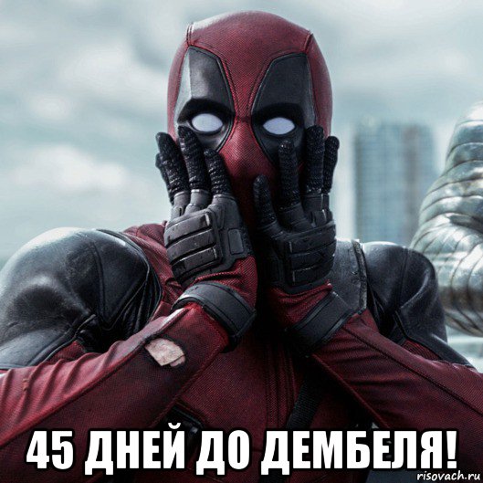  45 дней до дембеля!, Мем     Дэдпул