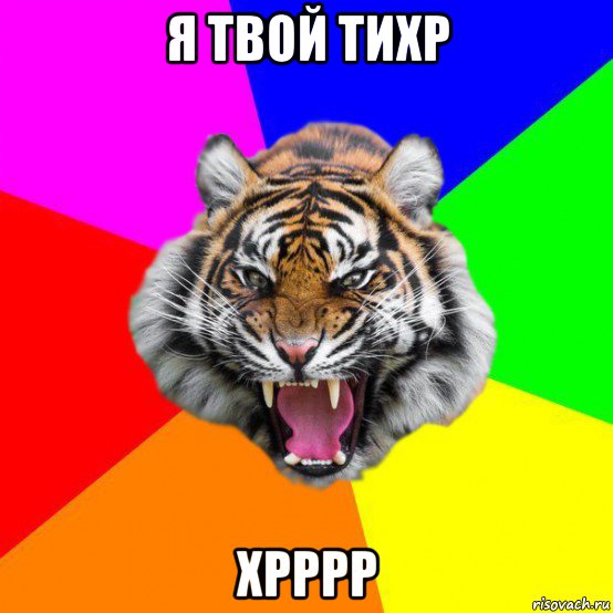 я твой тихр хрррр, Мем  ДЕРЗКИЙ ТИГР