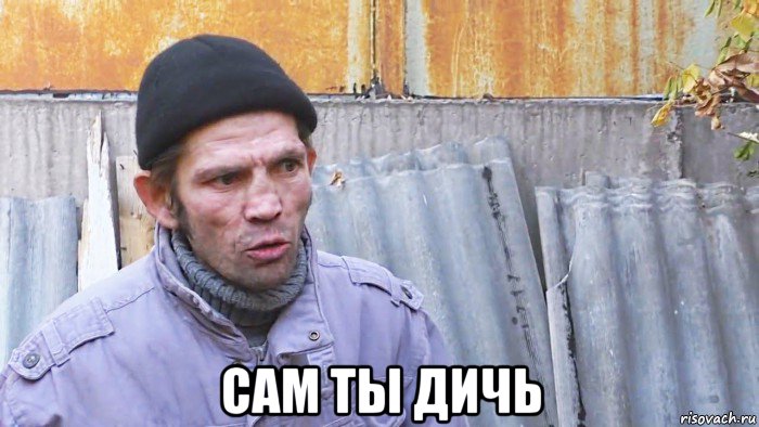  сам ты дичь, Мем  Дичь