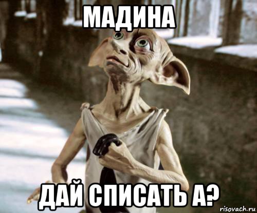 мадина дай списать а?