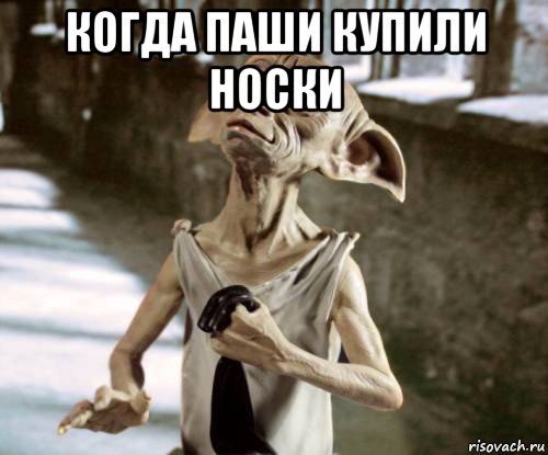 когда паши купили носки 