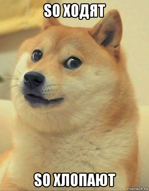 so ходят so хлопают, Мем doge woof