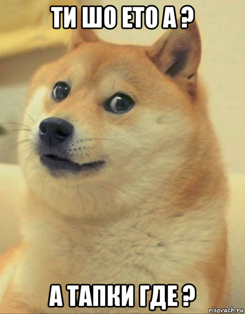 ти шо ето а ? а тапки где ?, Мем doge woof