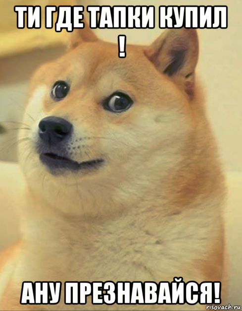 ти где тапки купил ! ану презнавайся!, Мем doge woof