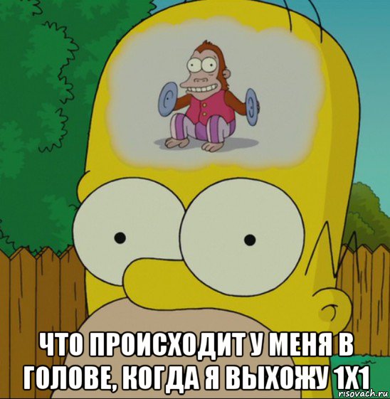  что происходит у меня в голове, когда я выхожу 1х1, Мем  Гомер Симпсон