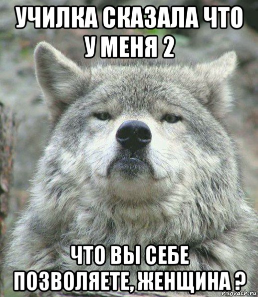 училка сказала что у меня 2 что вы себе позволяете, женщина ?, Мем    Гордый волк