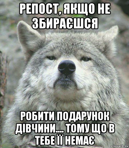 репост, якщо не збираєшся робити подарунок дівчини.... тому що в тебе її немає, Мем    Гордый волк