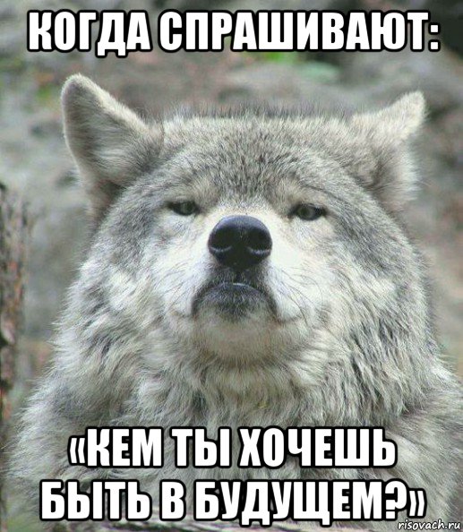 когда спрашивают: «кем ты хочешь быть в будущем?», Мем    Гордый волк