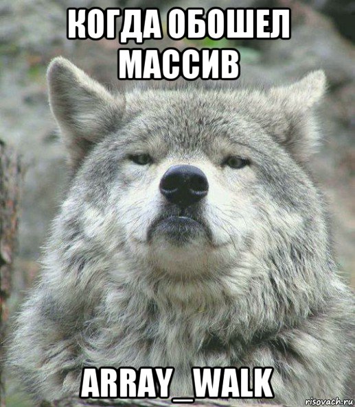 когда обошел массив array_walk, Мем    Гордый волк