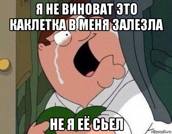 я не виноват это каклетка в меня залезла не я её сьел, Мем Гриффин плачет