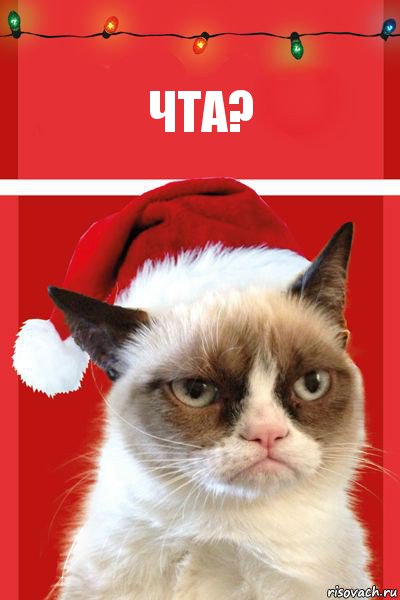 чта?, Комикс  Grumpy cat new year