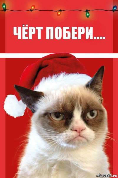 Чёрт побери...., Комикс  Grumpy cat new year