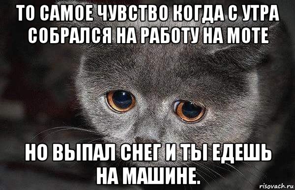 то самое чувство когда с утра собрался на работу на моте но выпал снег и ты едешь на машине., Мем  Грустный кот