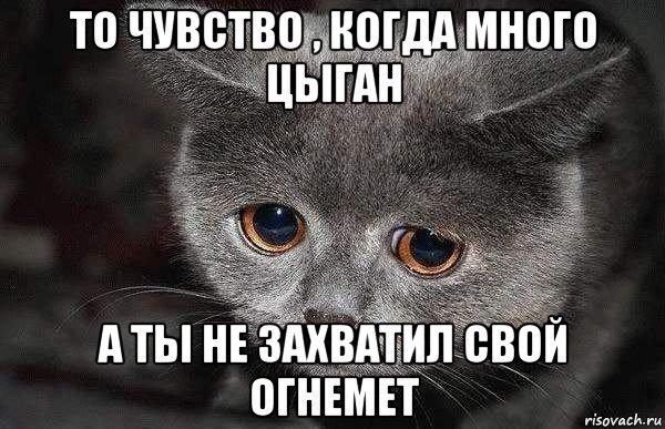 то чувство , когда много цыган а ты не захватил свой огнемет, Мем  Грустный кот