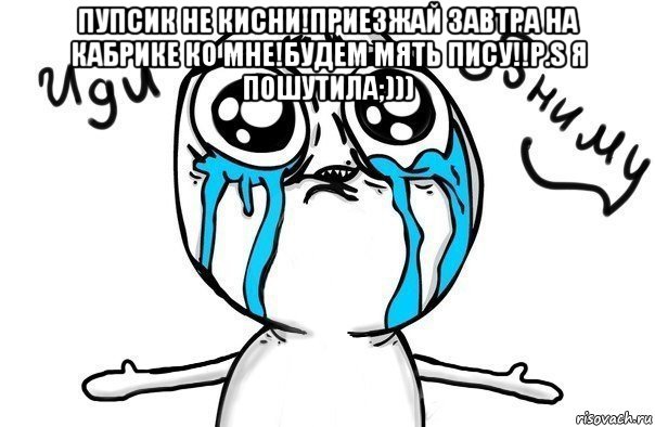 пупсик не кисни!приезжай завтра на кабрике ко мне!будем мять пису!!р.s я пошутила;))) , Мем Иди обниму