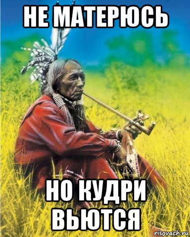 не матерюсь но кудри вьются