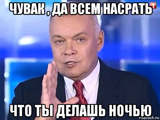 чувак , да всем насрать что ты делашь ночью, Мем Киселёв 2014