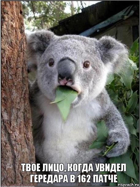 твое лицо, когда увидел гередара в 162 патче, Комикс коала