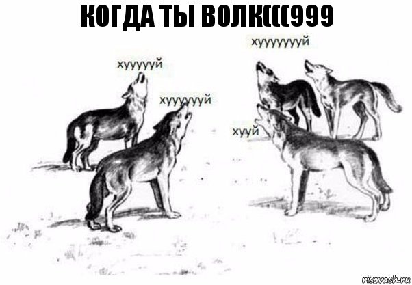 Когда ты волк(((999, Комикс Когда хочешь