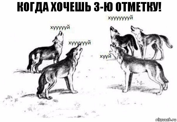 Когда хочешь 3-ю отметку!, Комикс Когда хочешь