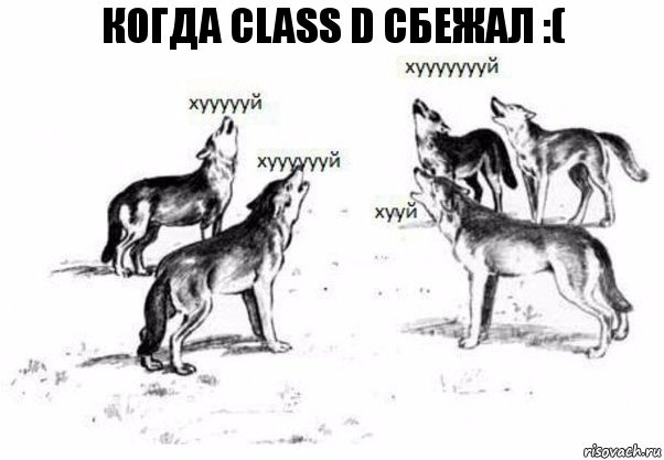 Когда CLASS D сбежал :(, Комикс Когда хочешь