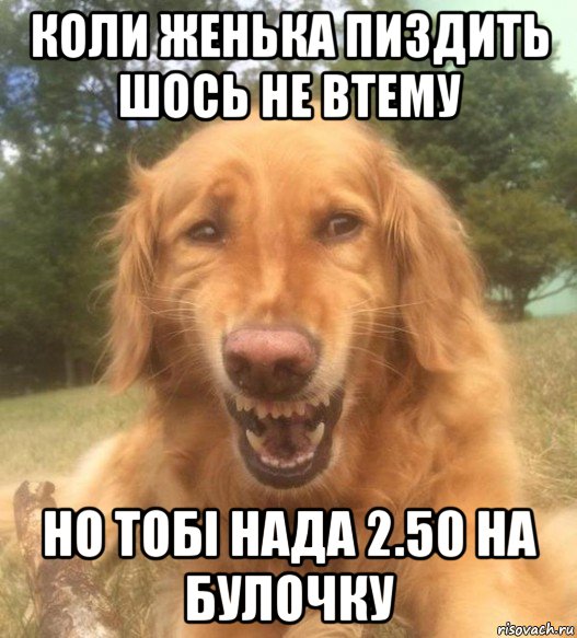 коли женька пиздить шось не втему но тобі нада 2.50 на булочку, Мем   Когда увидел что соседского кота отнесли в чебуречную