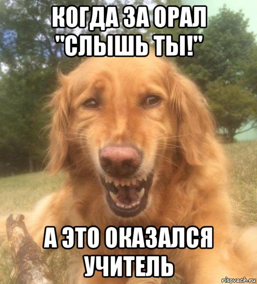 когда за орал "слышь ты!" а это оказался учитель, Мем   Когда увидел что соседского кота отнесли в чебуречную