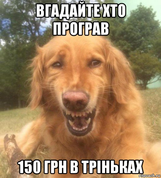 вгадайте хто програв 150 грн в тріньках, Мем   Когда увидел что соседского кота отнесли в чебуречную