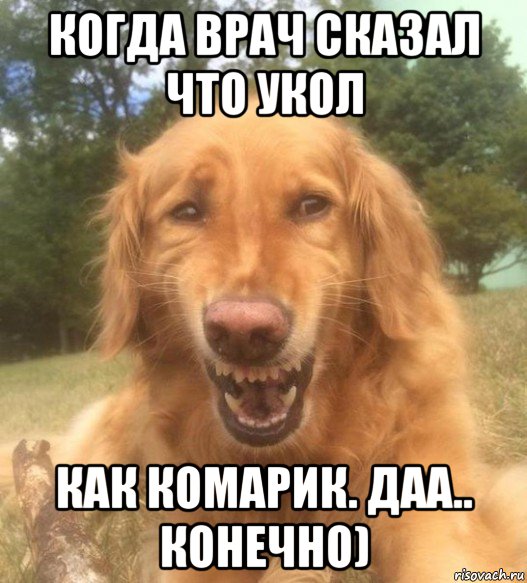 когда врач сказал что укол как комарик. даа.. конечно), Мем   Когда увидел что соседского кота отнесли в чебуречную