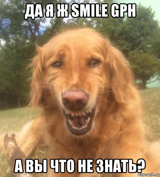 да я ж smile gph а вы что не знать?, Мем   Когда увидел что соседского кота отнесли в чебуречную