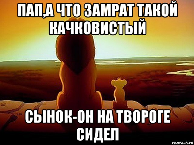 пап,а что замрат такой качковистый сынок-он на твороге сидел, Мем  король лев