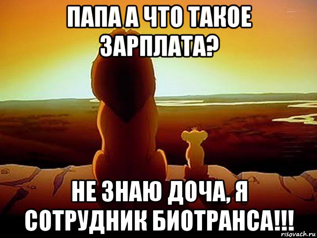 папа а что такое зарплата? не знаю доча, я сотрудник биотранса!!!, Мем  король лев