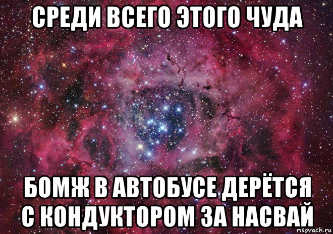 среди всего этого чуда бомж в автобусе дерётся с кондуктором за насвай