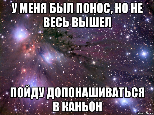 у меня был понос, но не весь вышел пойду допонашиваться в каньон, Мем Космос