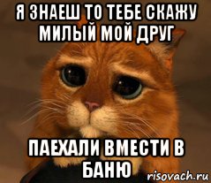 я знаеш то тебе скажу милый мой друг паехали вмести в баню, Мем Кот из Шрека