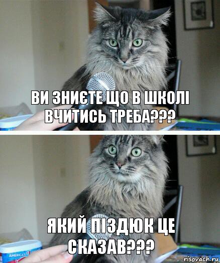 Ви зниєте що в школі вчитись треба??? Який піздюк це сказав???, Комикс  кот с микрофоном