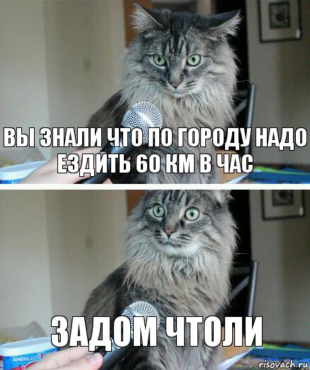 вы знали что по городу надо ездить 60 км в час задом чтоли, Комикс  кот с микрофоном