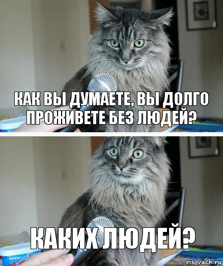 как вы думаете, вы долго проживете без людей? каких людей?, Комикс  кот с микрофоном