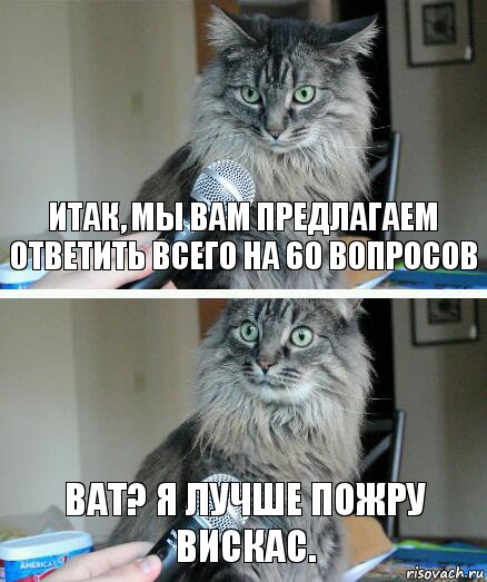 ИТАК, МЫ ВАМ ПРЕДЛАГАЕМ ОТВЕТИТЬ ВСЕГО НА 60 ВОПРОСОВ ВАТ? Я ЛУЧШЕ ПОЖРУ ВИСКАС., Комикс  кот с микрофоном