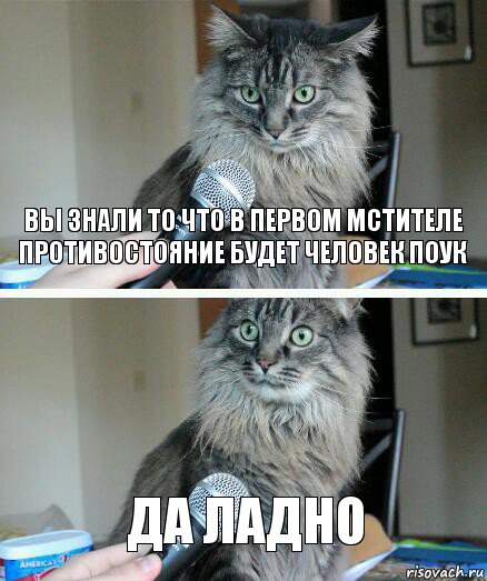 вы знали то что в первом мстителе противостояние будет человек поук да ладно, Комикс  кот с микрофоном