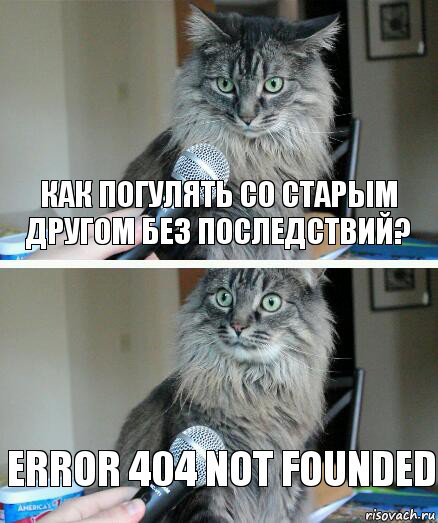 Как погулять со старым другом без последствий? Error 404 not founded, Комикс  кот с микрофоном