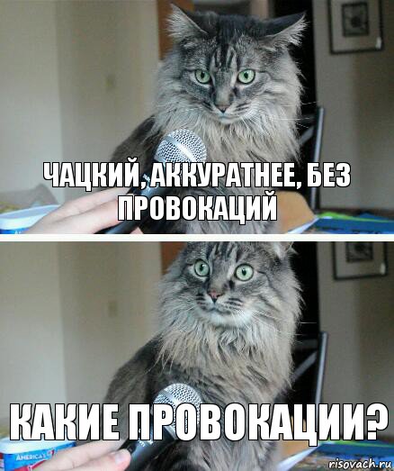 Чацкий, аккуратнее, без провокаций Какие провокации?, Комикс  кот с микрофоном