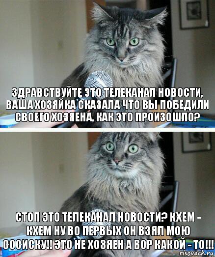 Здравствуйте это телеканал новости, ваша хозяйка сказала что вы победили своего хозяена, как это произошло? Стоп это телеканал новости? Кхем - кхем ну во первых он взял мою сосиску!! Это не хозяен а вор какой - то!!!, Комикс  кот с микрофоном