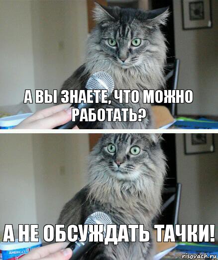 А вы знаете, что можно работать? а не обсуждать тачки!, Комикс  кот с микрофоном