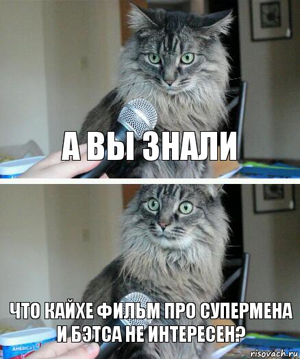 а вы знали что кайхе фильм про супермена и бэтса не интересен?, Комикс  кот с микрофоном