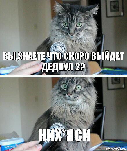 Вы,знаете что скоро выйдет Дедпул 2? Них*яси, Комикс  кот с микрофоном