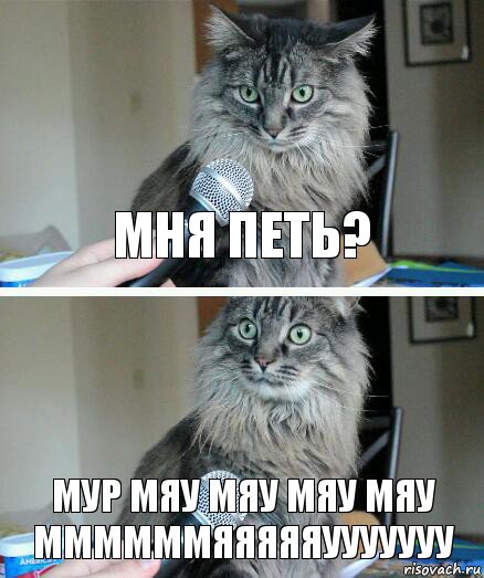 Мня петь? Мур мяу мяу мяу мяу ммммммяяяяяууууууу, Комикс  кот с микрофоном