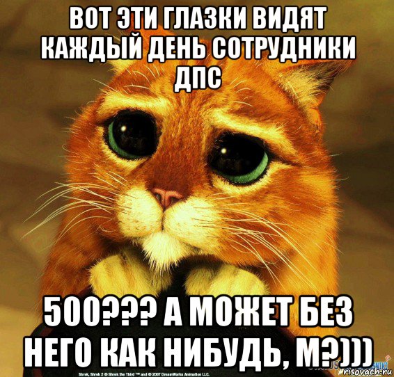 вот эти глазки видят каждый день сотрудники дпс 500??? а может без него как нибудь, м?))), Мем Котик из Шрека