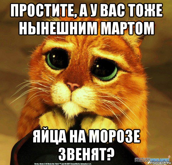 простите, а у вас тоже нынешним мартом яйца на морозе звенят?, Мем Котик из Шрека