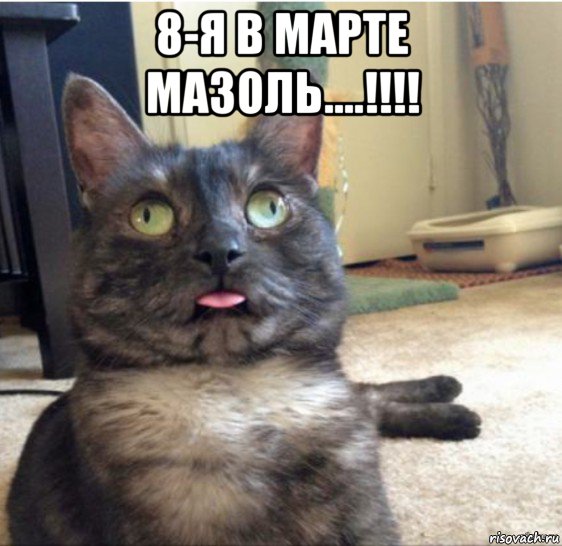 8-я в марте мазоль....!!!! , Мем   Кот завис